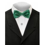 (disco)-Mulcahy Bow Tie - Green Texture