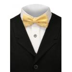 (disco)-Bow Tie - Ambrose Butter Brocade