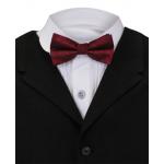 (disco)-Bow Tie - Burgundy Bishop