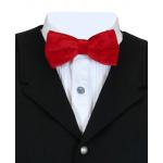 (disco)-Velvet Bow Tie - Red