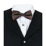 (disco)-Montgomery Paisley Bow Tie - Brown