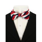 Dandy Bow Tie - Red/White/Navy Stripe