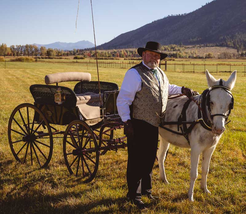 Customer photos wearing [Editors Pick] Victorian Carriage Victory